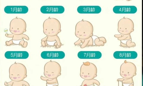 喝了回奶药还能追回来吗-喝了回奶药还能追回来吗-喝了回奶药可以继续哺乳吗,中国喝了回奶药应该吃什么食物网站